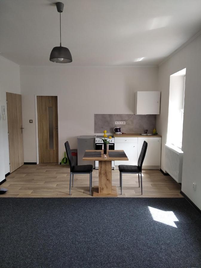 Apartmany Borska Карловы Вары Экстерьер фото