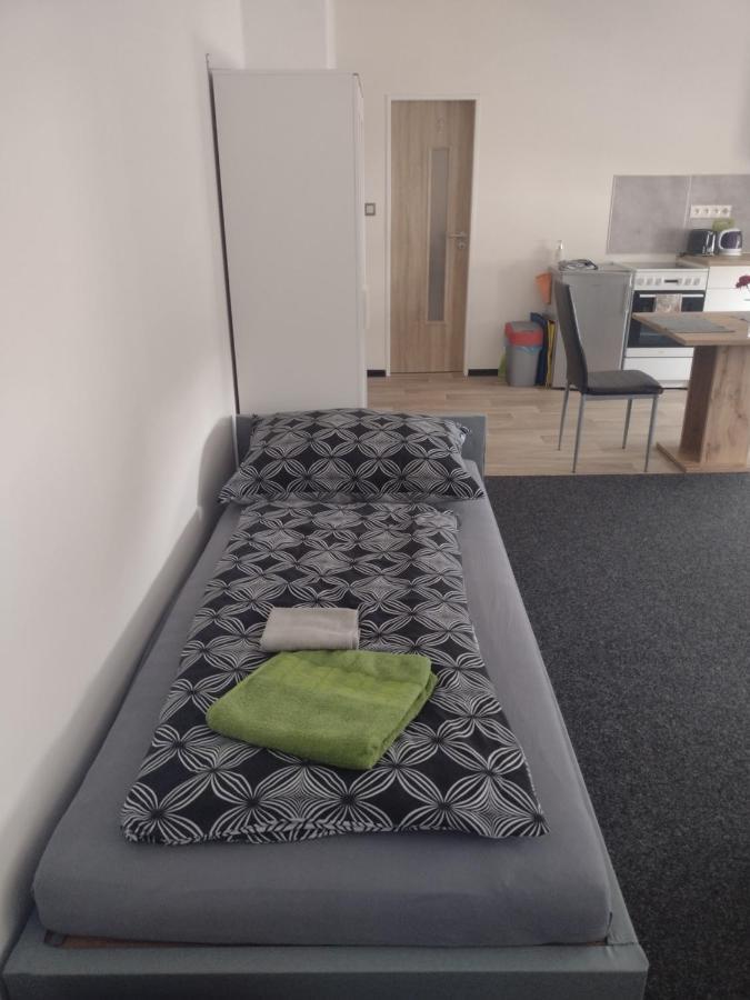Apartmany Borska Карловы Вары Экстерьер фото