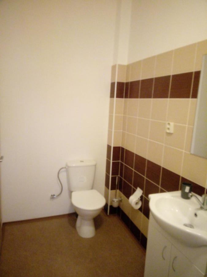 Apartmany Borska Карловы Вары Экстерьер фото